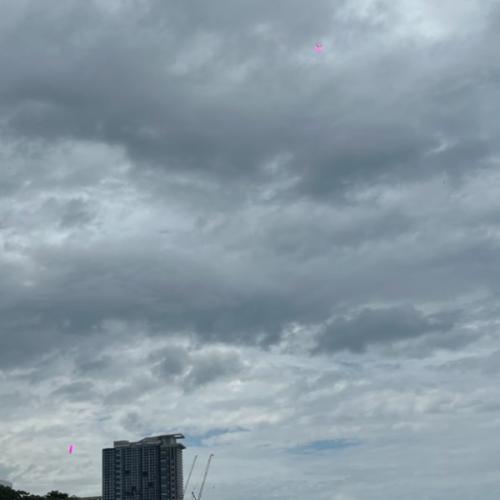 สมาชิกหมายเลข 9079573