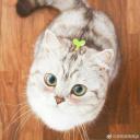 สมาชิกหมายเลข 4280353