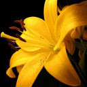 สมาชิกหมายเลข 4661692