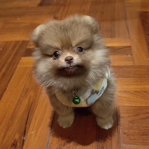 สมาชิกหมายเลข 3181466