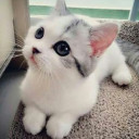 สมาชิกหมายเลข 5025357