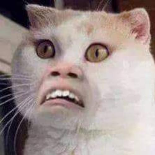 สมาชิกหมายเลข 4928577