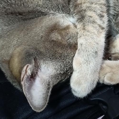 สมาชิกหมายเลข 5417912