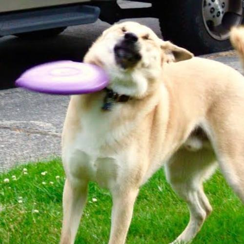 สมาชิกหมายเลข 5047209