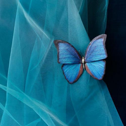 สมาชิกหมายเลข 5222064