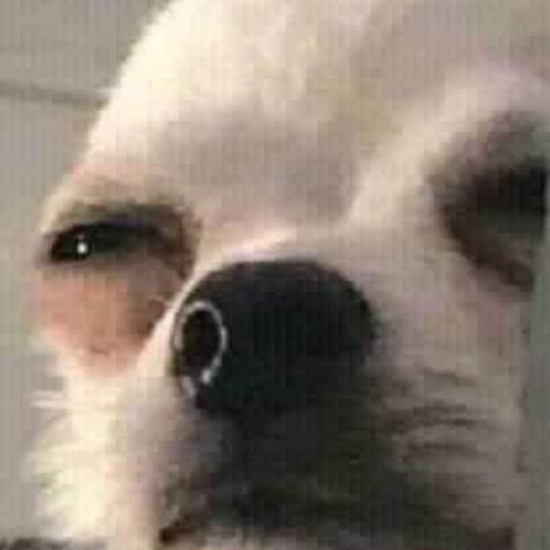 สมาชิกหมายเลข 6532747