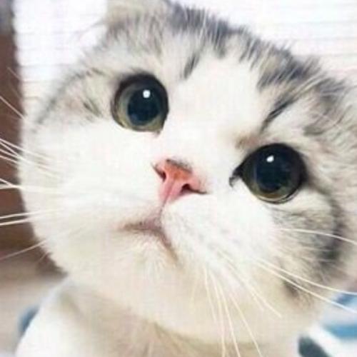 สมาชิกหมายเลข 6532812