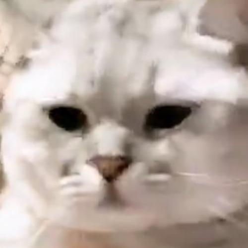 สมาชิกหมายเลข 6533265