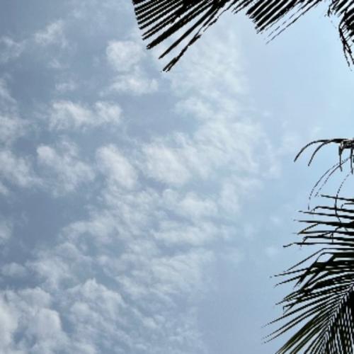 สมาชิกหมายเลข 1381168