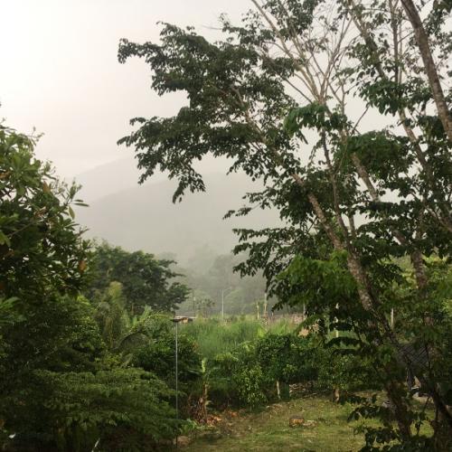 สมาชิกหมายเลข 7250475