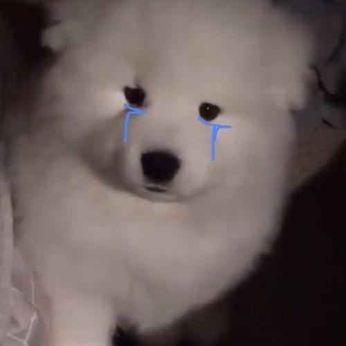 สมาชิกหมายเลข 7250796