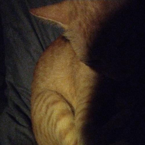 สมาชิกหมายเลข 5102444