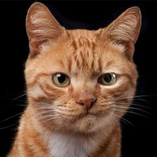 สมาชิกหมายเลข 6857140