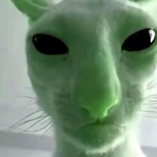 สมาชิกหมายเลข 8069513