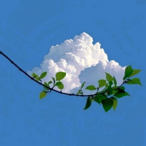 สมาชิกหมายเลข 7316924