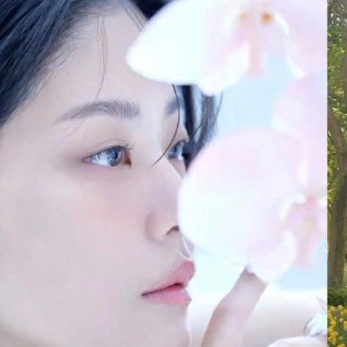 สมาชิกหมายเลข 8080743