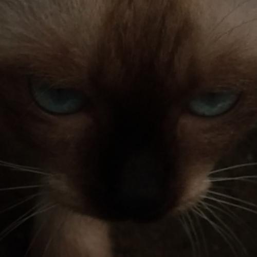 สมาชิกหมายเลข 8372418