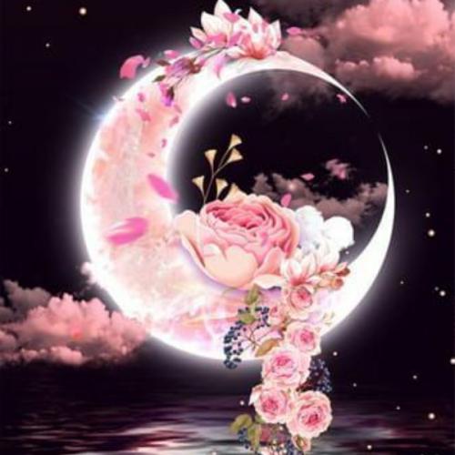 สมาชิกหมายเลข 9091434