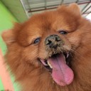 สมาชิกหมายเลข 3796569