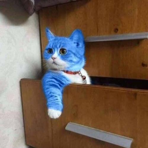 สมาชิกหมายเลข 4997178