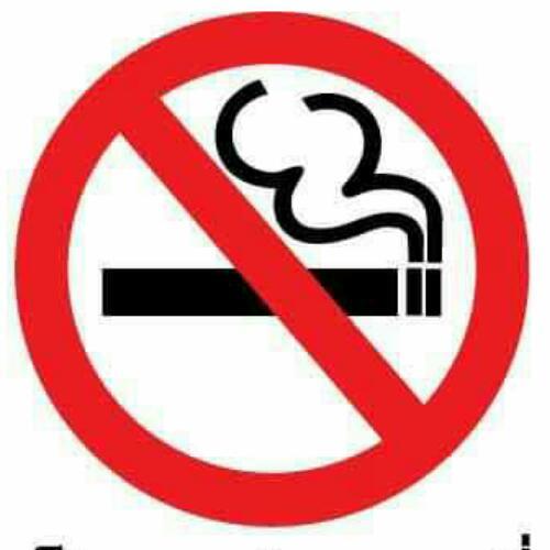 สมาชิกหมายเลข 4241754