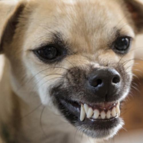 สมาชิกหมายเลข 3069149