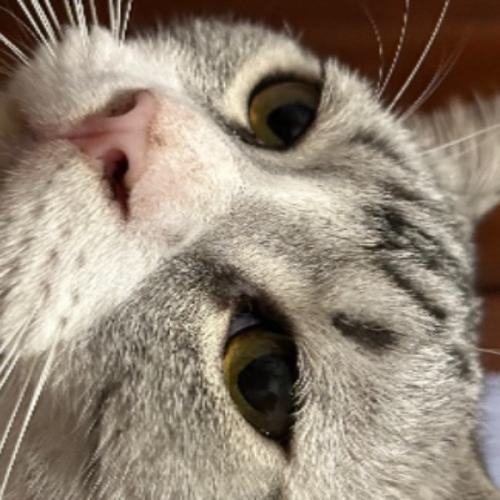 สมาชิกหมายเลข 6410951