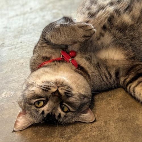 สมาชิกหมายเลข 7214903