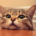 สมาชิกหมายเลข 3873038