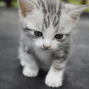 สมาชิกหมายเลข 4662564