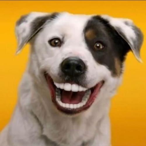 สมาชิกหมายเลข 4662713