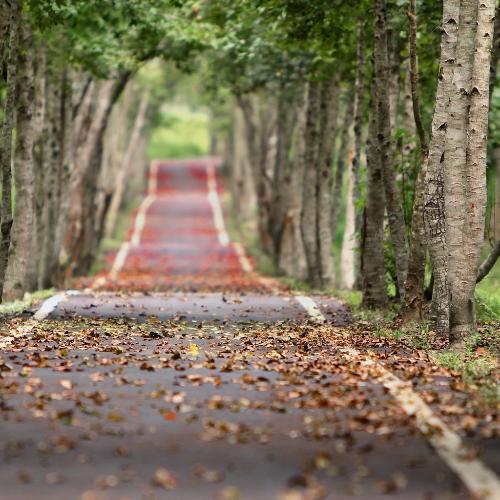 สมาชิกหมายเลข 4662783