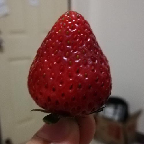 สมาชิกหมายเลข 4662844