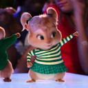 ชะนีทุ่งลาเวนเดอร์ใบมีห้าแฉก