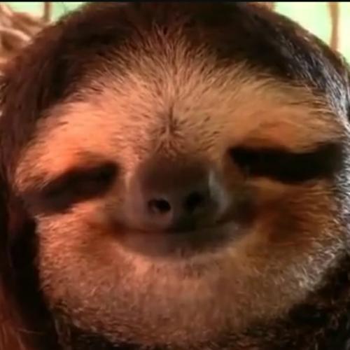 สมาชิกหมายเลข 4103258