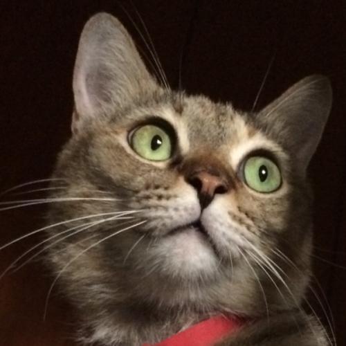 สมาชิกหมายเลข 5926846