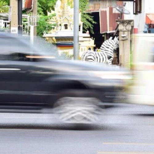 สมาชิกหมายเลข 1092497