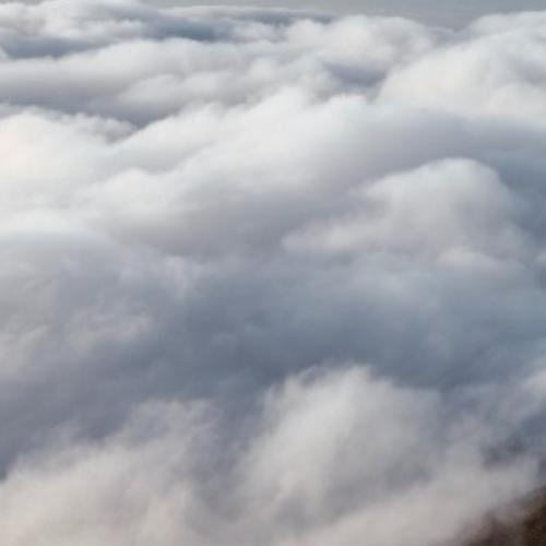 สมาชิกหมายเลข 4142424