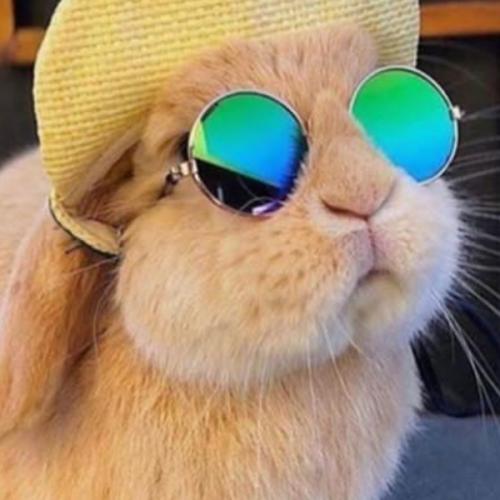 สมาชิกหมายเลข 5947285