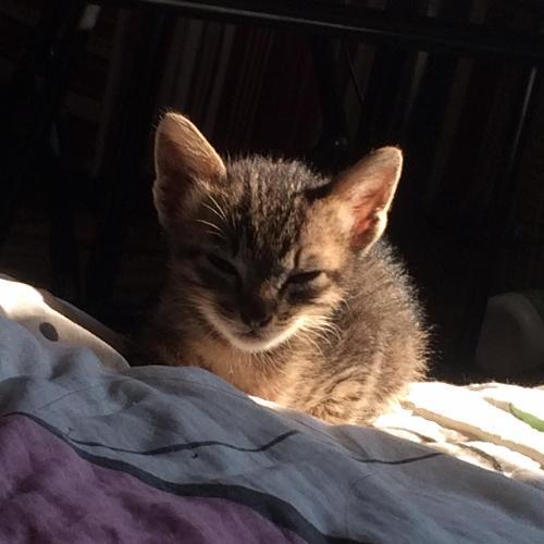 สมาชิกหมายเลข 7803562