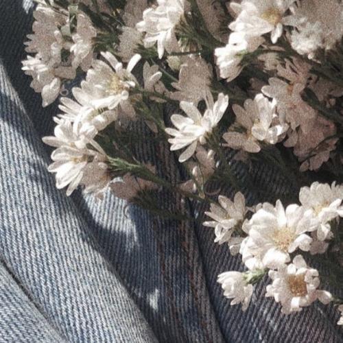 สมาชิกหมายเลข 7818351