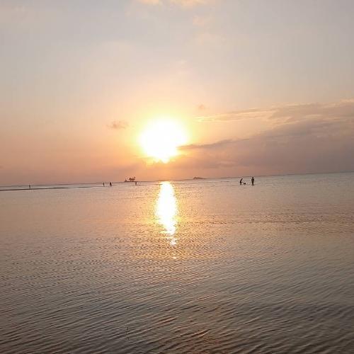 สมาชิกหมายเลข 9073056