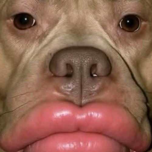 สมาชิกหมายเลข 9085862