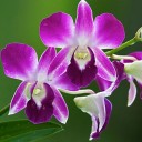 สมาชิกหมายเลข 3413935