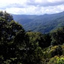 สมาชิกหมายเลข 3816474