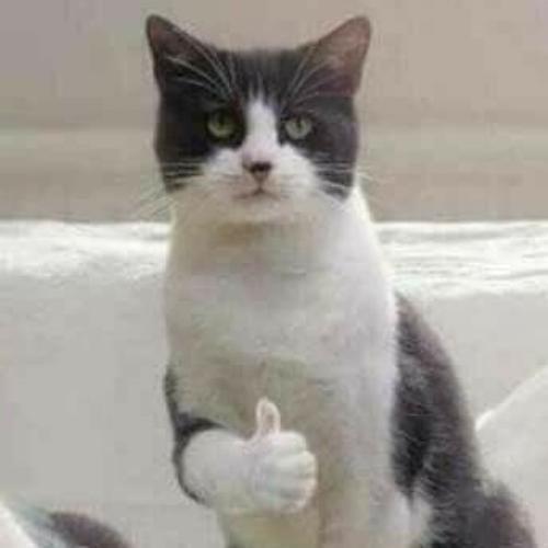 สมาชิกหมายเลข 2755400