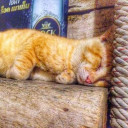 สมาชิกหมายเลข 3197026