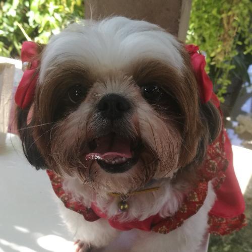 สมาชิกหมายเลข 882964