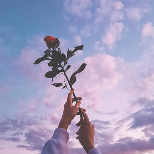 สมาชิกหมายเลข 5388573