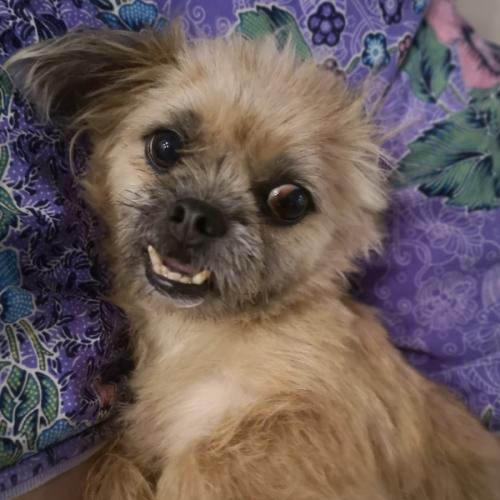 สมาชิกหมายเลข 5929226